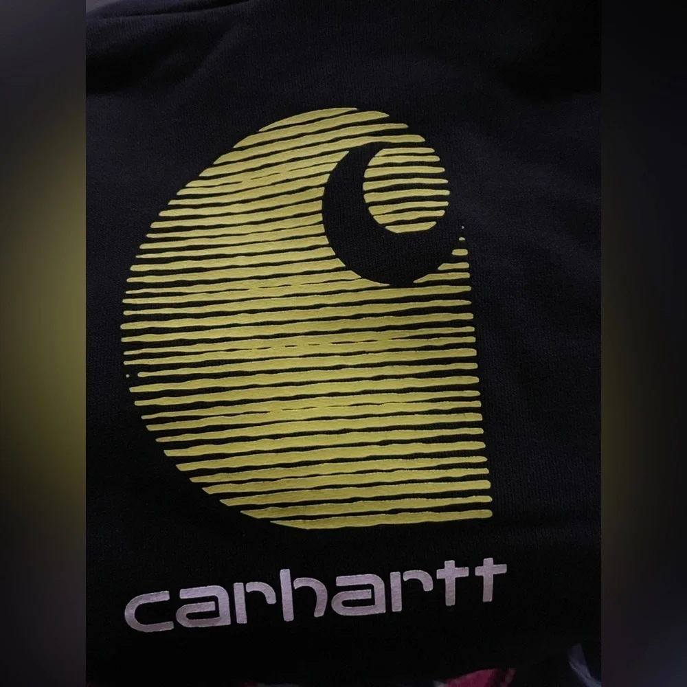 Carhartt stylish hoodie